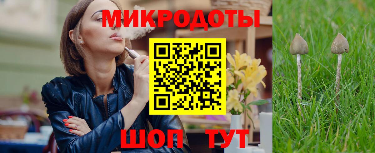 Галлюциногенные грибы Psilocybe Нижнекамск